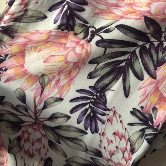 Floral plants - Picture 3 of 3